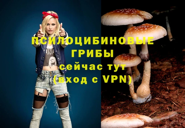 каннабис Алексин