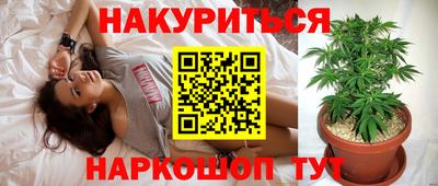 винт Сланцы