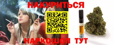 винт Сланцы
