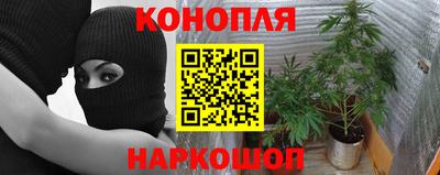винт Сланцы