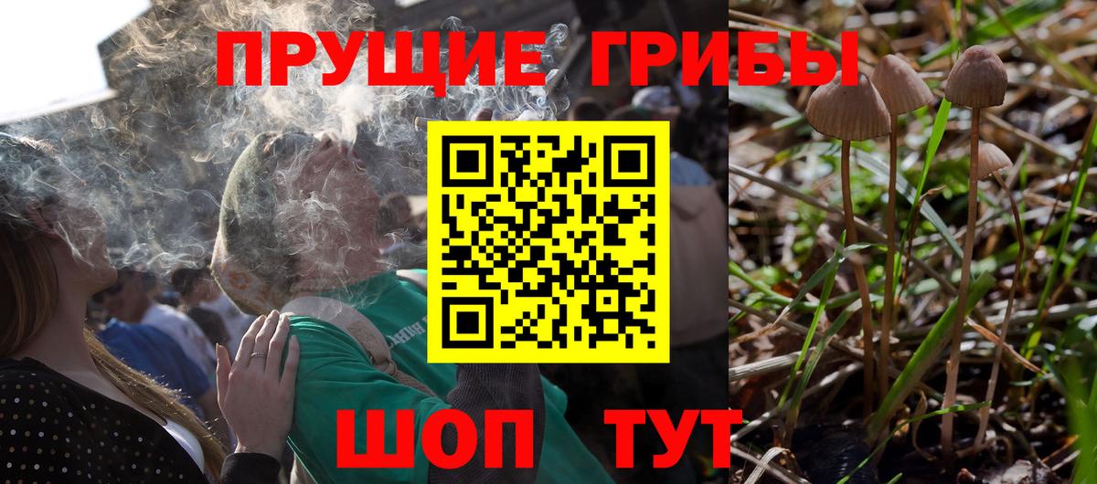 Галлюциногенные грибы Cubensis  Вход с VPN  Новочебоксарск 
