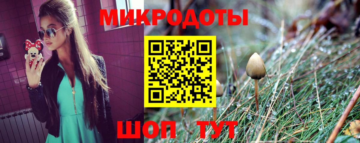 Галлюциногенные грибы мухоморы Новочебоксарск